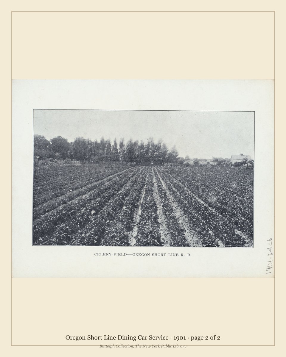 Vintage menu — page 2 of 2